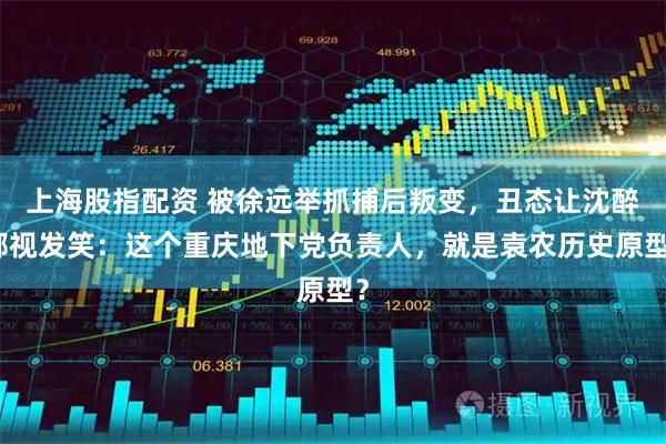 上海股指配资 被徐远举抓捕后叛变，丑态让沈醉鄙视发笑：这个重庆地下党负责人，就是袁农历史原型？