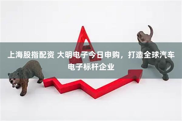 上海股指配资 大明电子今日申购，打造全球汽车电子标杆企业
