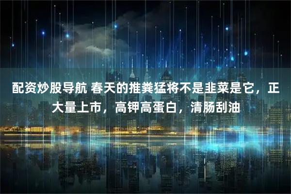 配资炒股导航 春天的推粪猛将不是韭菜是它，正大量上市，高钾高蛋白，清肠刮油